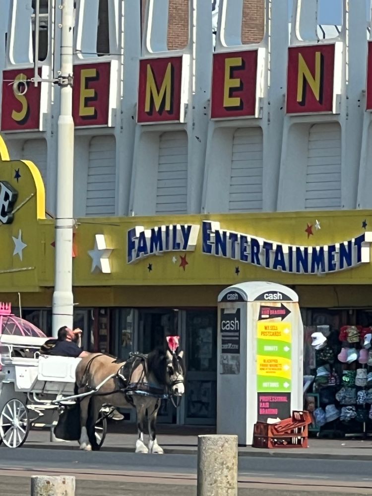 Photo is of the front of an amusement arcade in Blackpool, but I have cropped the photo so only the semen bit of amusement is visible. Sorry. I bet you wish you hadn’t bothered reading this now. Again, sorry. 