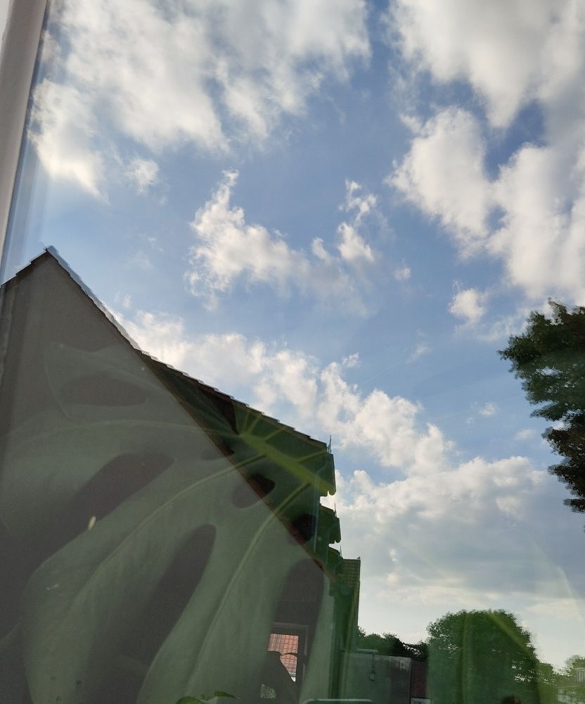 Blauer Himmel mit Wolken, darunter ein unterbelichtetes Haus in dem die Spiegelung eines Monsterablattes zu sehen ist.