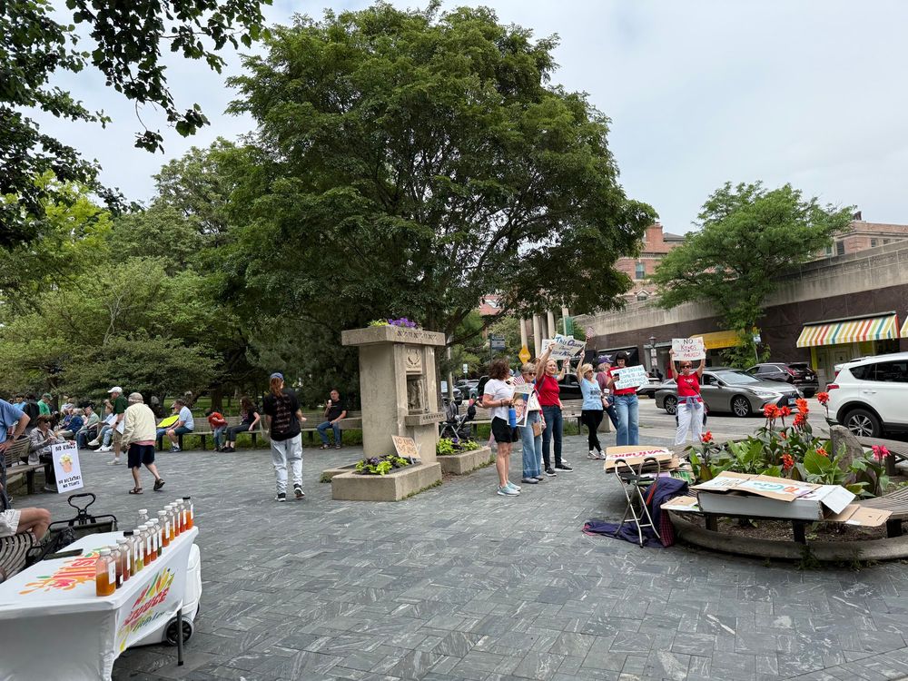 Crowd of protesters in Scoville Park, Oak Park, Illinois.