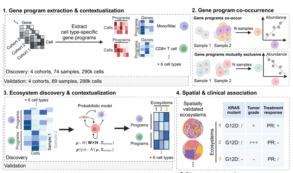 A pipeline for inferring reproducible tumour microenvironment ecosystems from scRNA-seq atlases