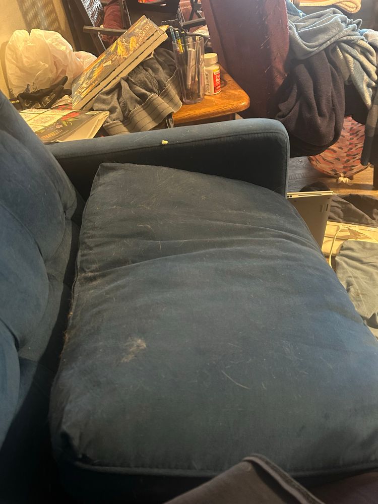 A blue loveseat cushion with something underneath it. 