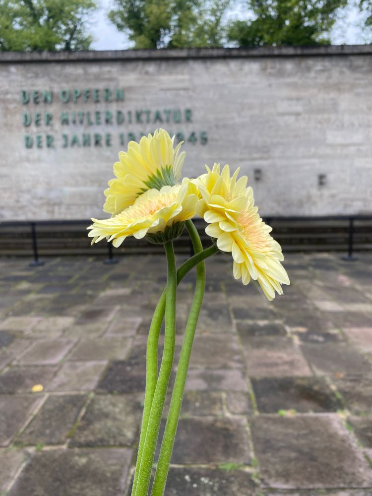 Blumen in der Gedenkstätte Plötzsee, für die ermordeten Frauen im Widerstand gegen die Nazis