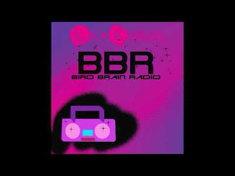 LK CORVUS - BIRD BRAIN RADIO [Full Mashup Mixtape]