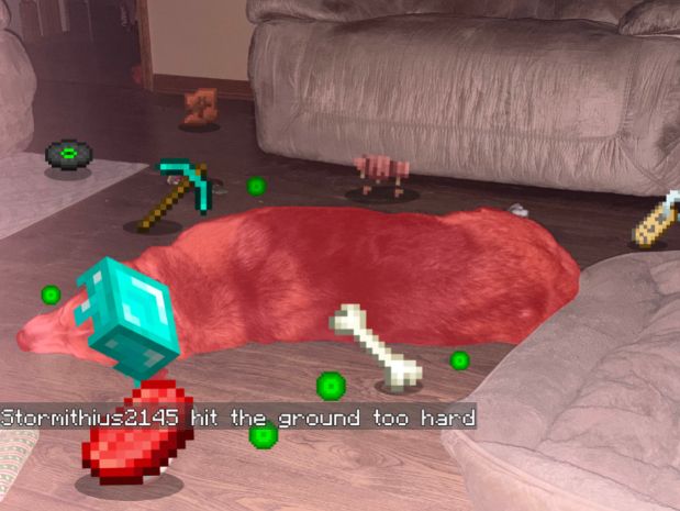 My dog lying down, looking like he died in minecraft