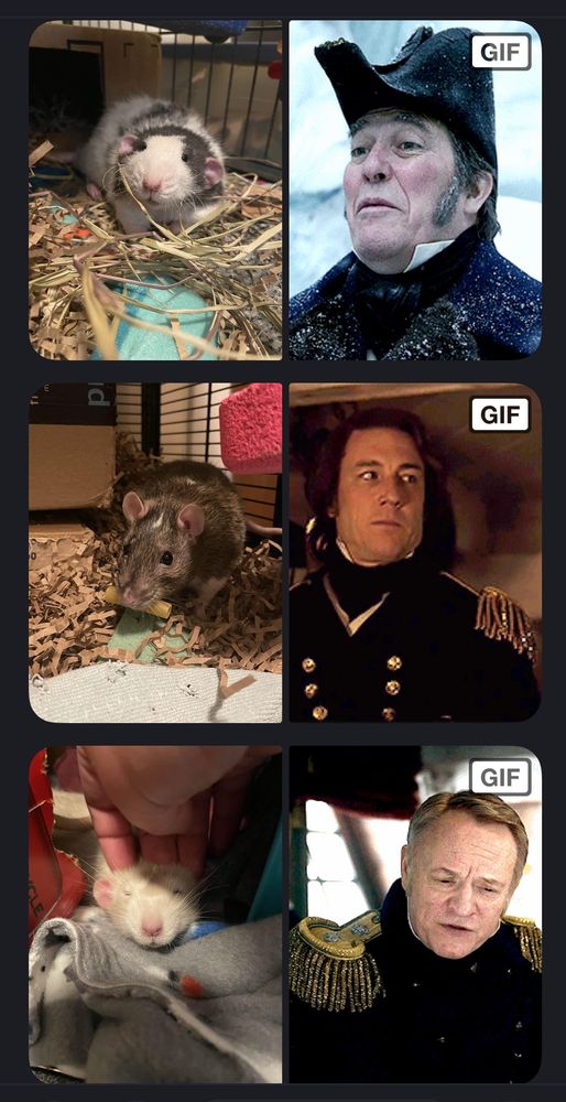 Screenshot of three rats with their namesakes from AMC’s The Terror