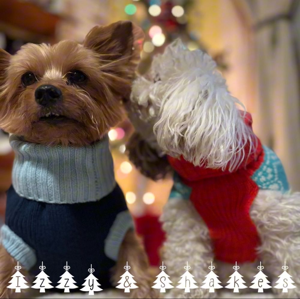 Izzy giving Shakes a kiss