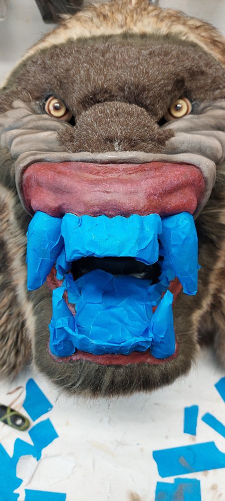 Front view of a snarling monster mask with its mouth open. Its teeth and tongue have been covered with blue masking tape to protect them from airbrush overspray.