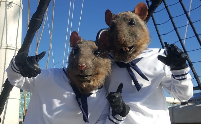 Two people wearing rat masks pose dynamically. They are on a ship and are wearing cheap sailor suits. The sky behind them is clear and blue. 