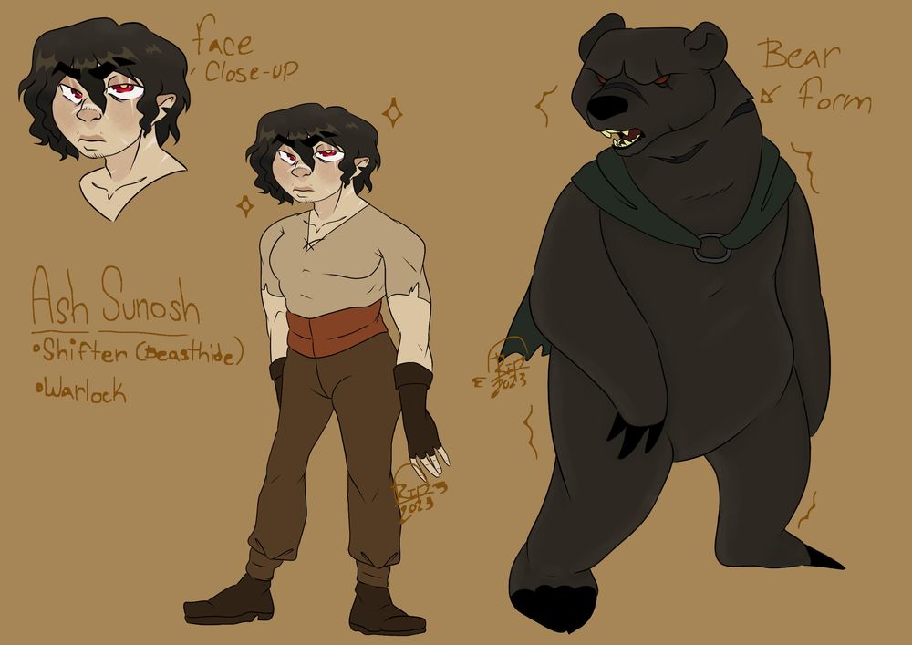 A reference sheet for a dungeons and dragons character; displays a semi-muscular man with short, curly brown hair, a tan/torn shirt with brown pants & boots; next to the man is a black bear (shifted from) 