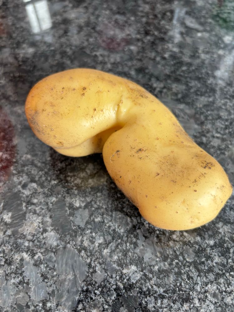 Oddly shaped potato. 