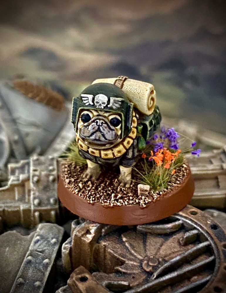 Colin the First War Pug of the 4th Memnon and official mascot with helmet, bedroll and harness smiling at you