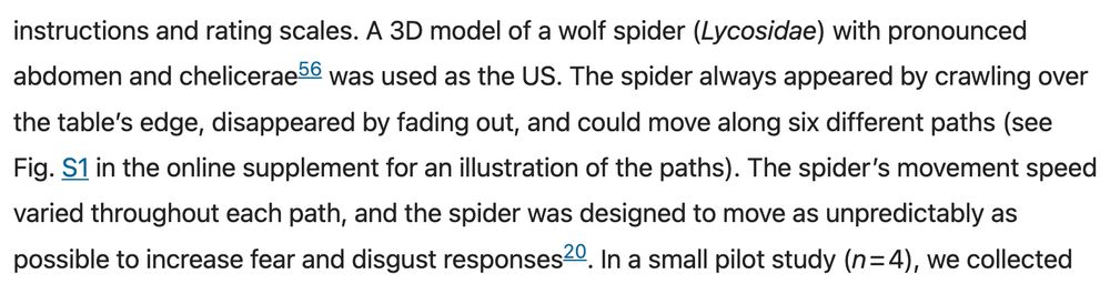description of spider treatment