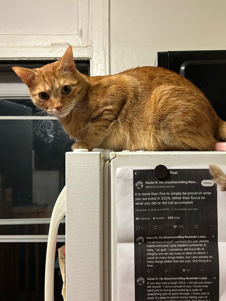 A very focused looking orange cat on top of a refrigerator. There is a printed copy of a thread from the OP about being proud of yourself and being patient. We’re all doing our best, especially the cat, Persi. 