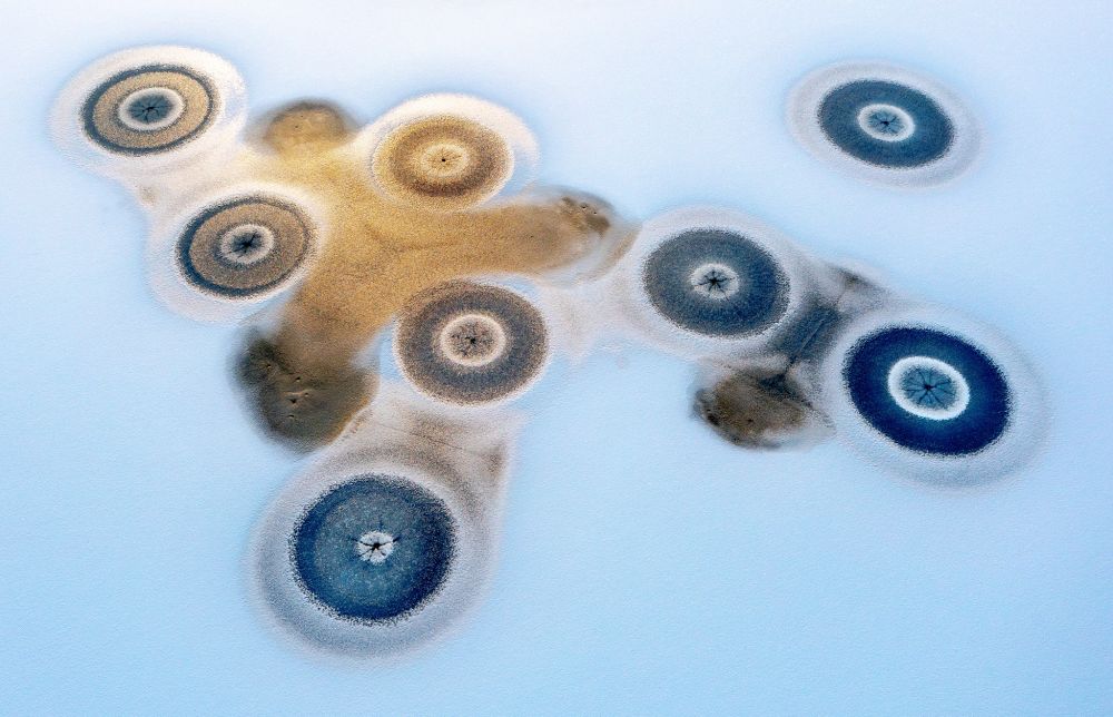 Circular shapes, formed into ice on a frozen body of water (Magnus Reneflot / Natural Landscape Photography Awards)