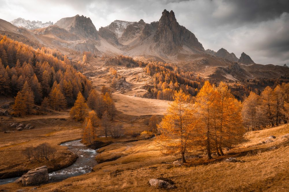 A broad view of an alpine valley and stony mountains with trees and grass a golden color. (Julien Delaval / The 12th International Landscape Photographer of the Year)