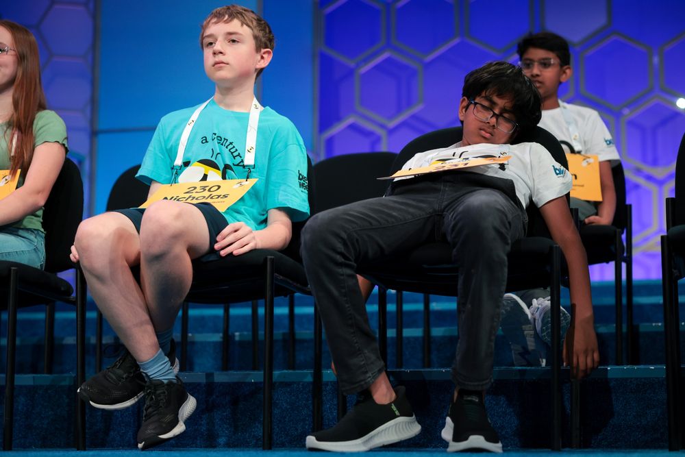 Several young spelling bee contestants sit on chairs on a stage, with one appearing to be asleep. (Kayla Bartkowski / Getty)