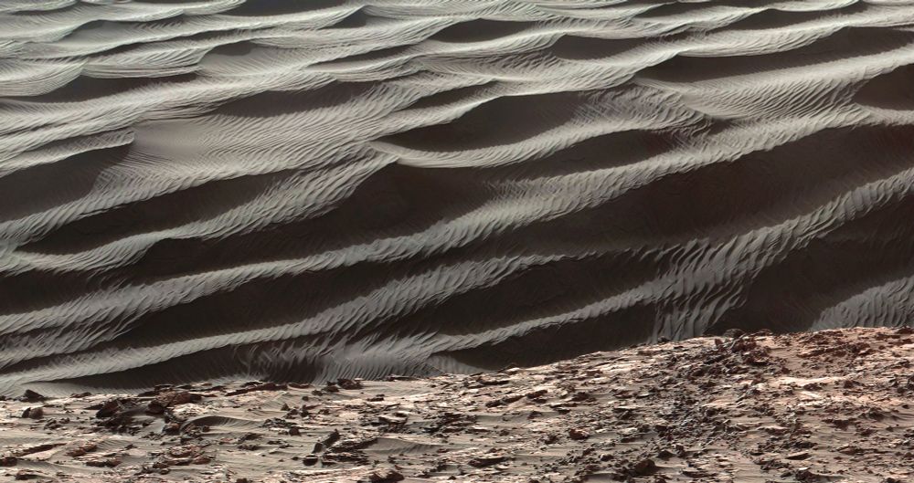 A wind-sculpted dune field on Mars (JPL-Caltech / MSSS / NASA)