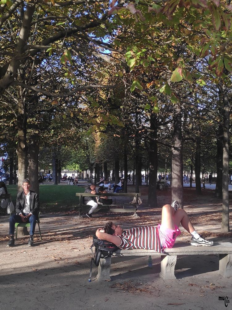 Man wearing pink shorts lying on a stone bench in the Jardin des in Paris.