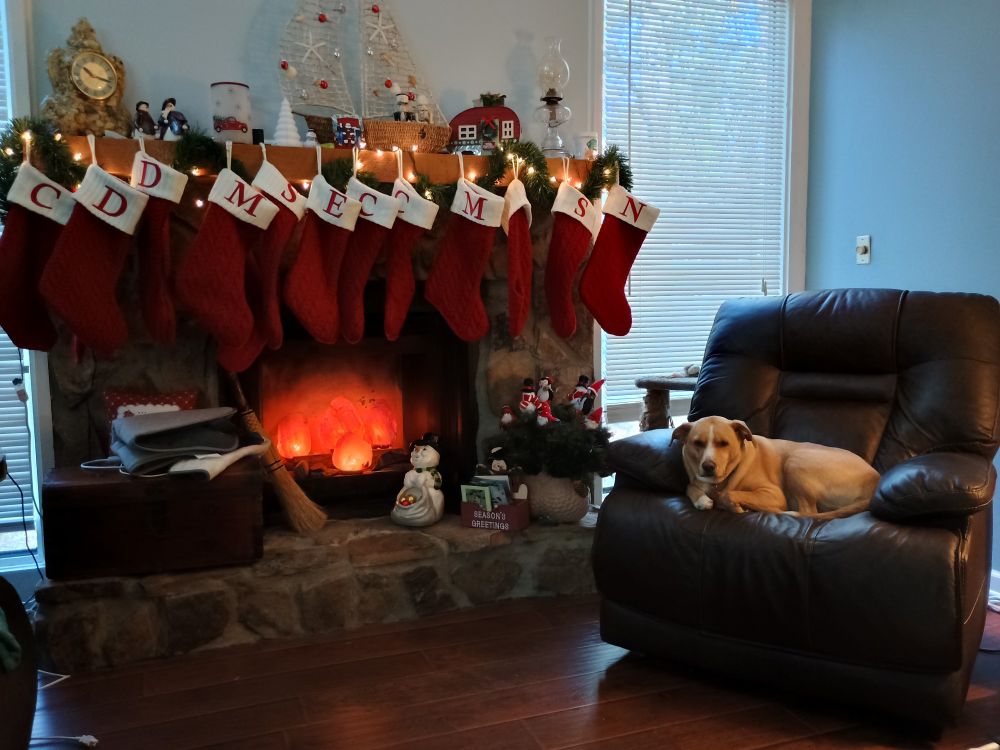 On the left, a fireplace with 12 red stockings hung on the mantle. On the right, a tan dog in a brown recliner. 