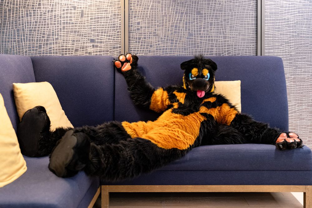 Ignition lazing on a couch
