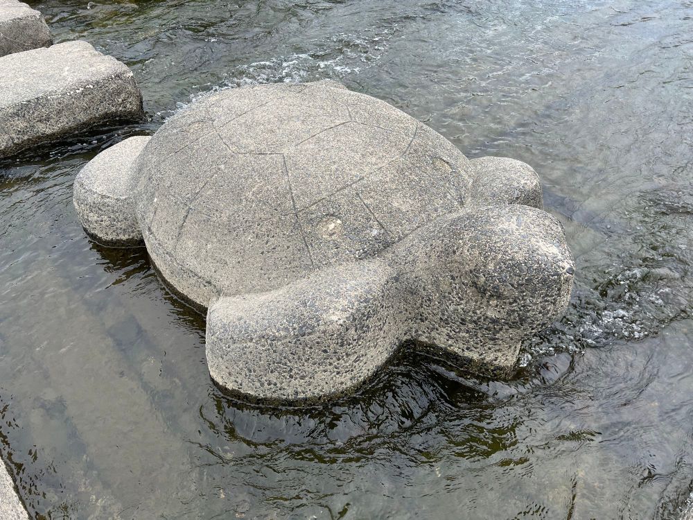 Turtle shaped stepping stone