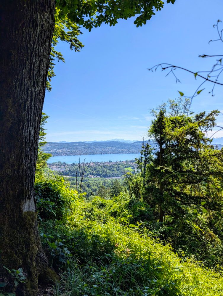 Lake of Zürich. View from Üetliberg.