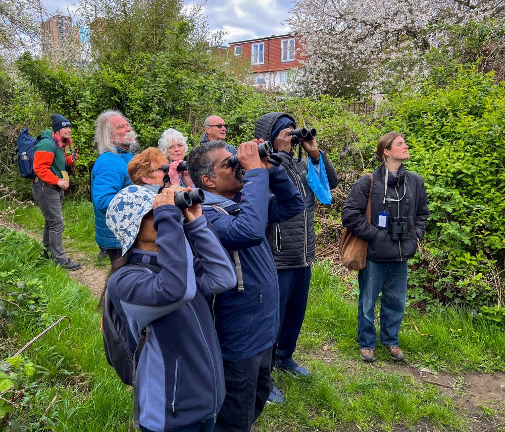 A group of bird watchers observing a Goldcrest at close quarters.
