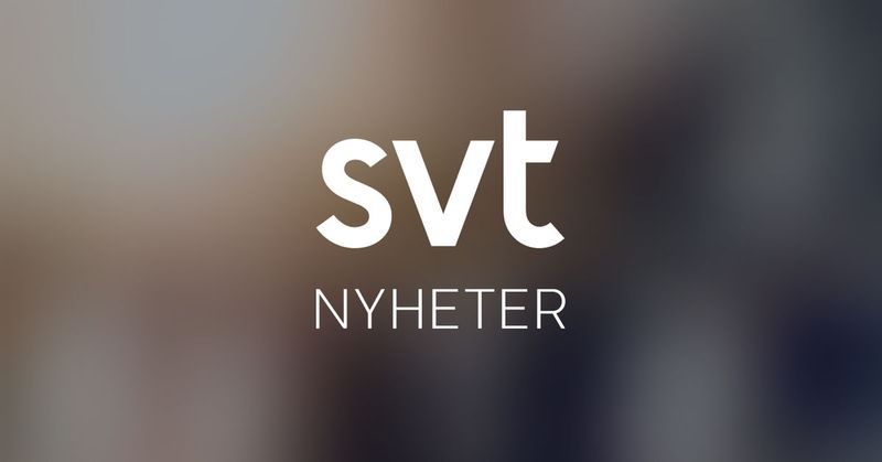 Syriens styre anklagar druser för nya attacker