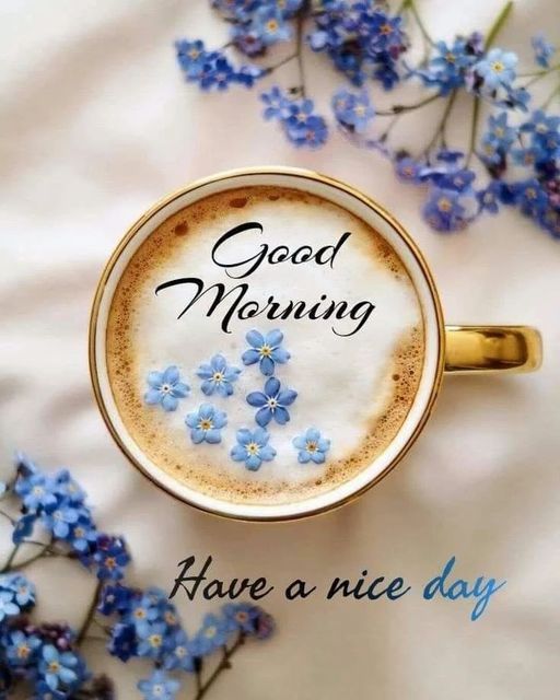 Comment image