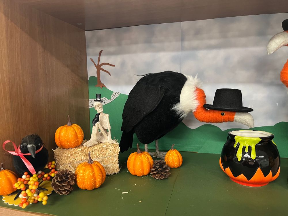 This vulture is Hyde and the little raven is Edgar 