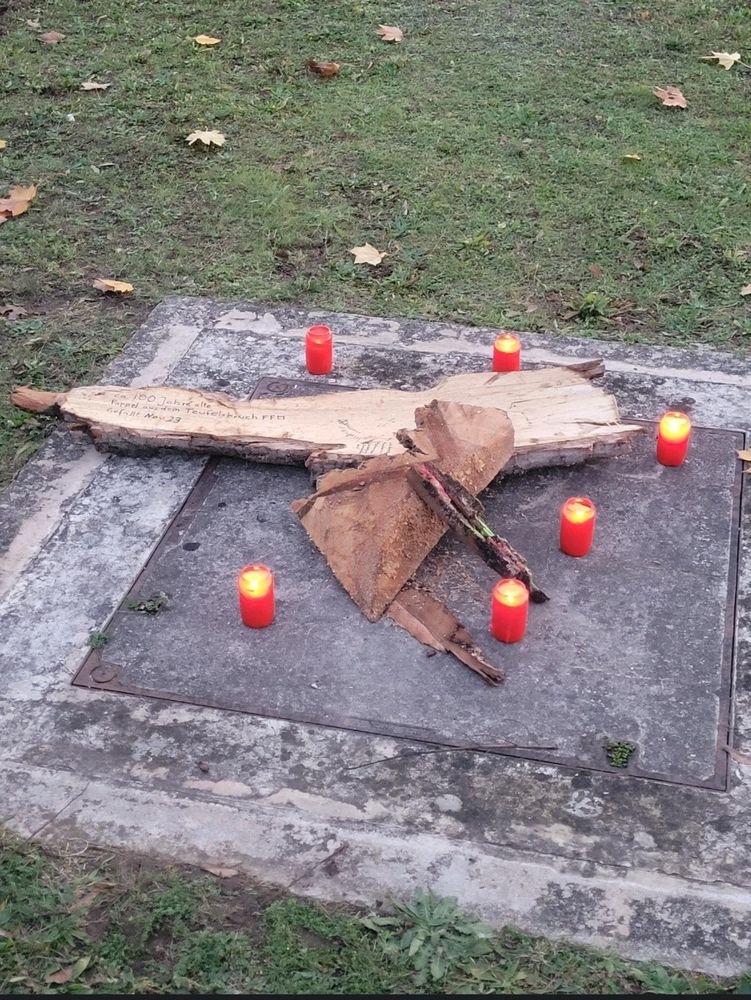 Trauerinstallation mit Überresten der am Teufelsbruch gefällten Pappel.