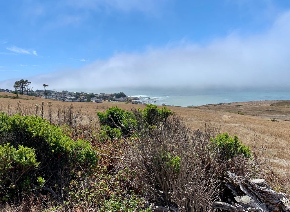 Cloudy day atop a bluff 