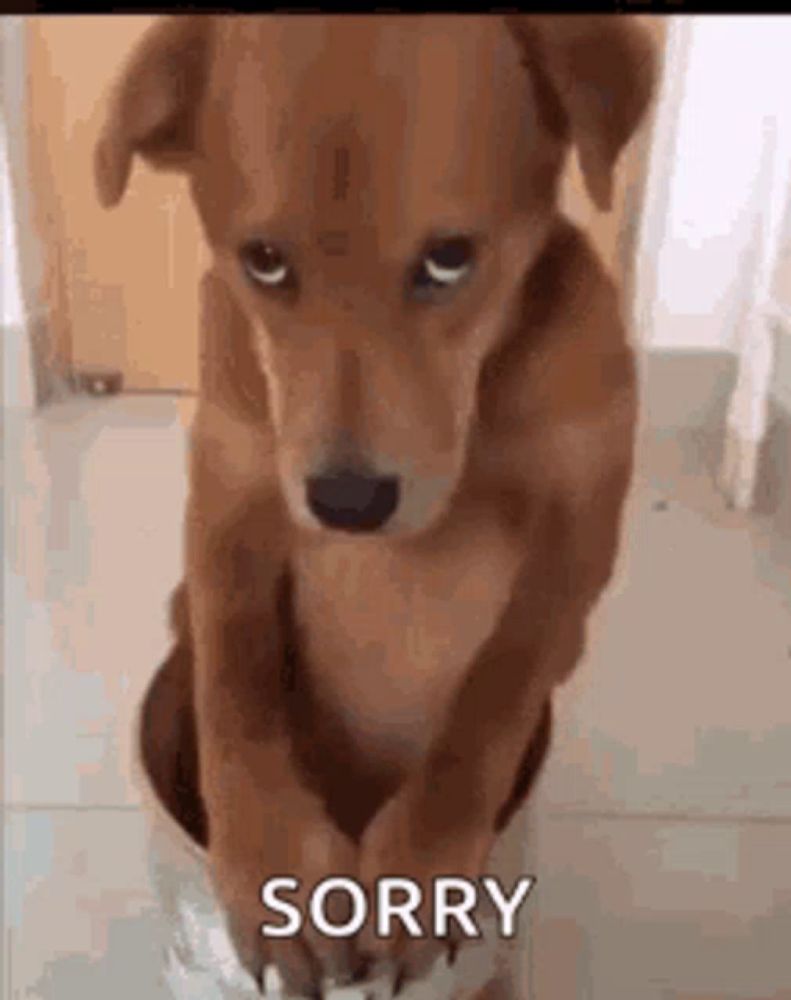 a brown dog is sitting on its hind legs with its paws on a piece of paper .