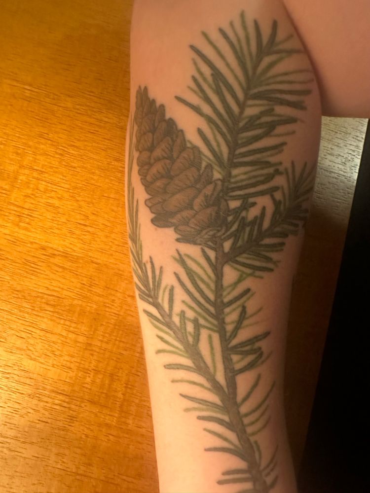 picture of a forearm with a color tattoo of a pine branch with pine needles and a pine cone. the arm is resting on a wooden table 
