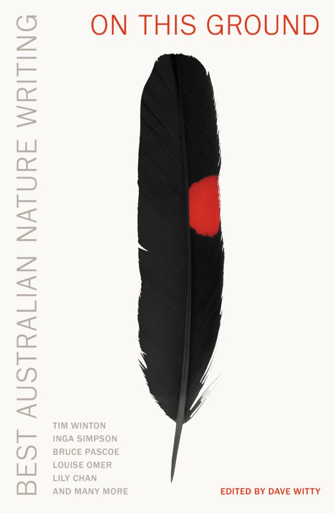 The cover of the book On This Ground: Best Australian Nature Writing, edited by Dave Witty. The cover is white, with a single Red-tailed black cockatoo feather in the centre of the cover.
