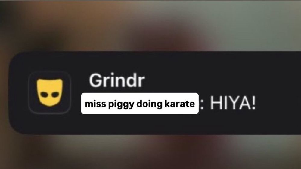 grindr notification with: miss piggy doing karate: HIYA!

like hii ya…..