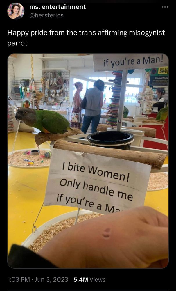 A tweet screenshot

ms. entertainment
@hersterics

Happy pride from the trans affirming misogynist parrot

1:03 PM • Jun 3, 2023 • 5.4M Views
The picture is of a green parrot in the background surrounded by signs saying “I bite women only handle me if you’re a man.”
In the foreground you can see a person’s hand with parrot bite marks on it.