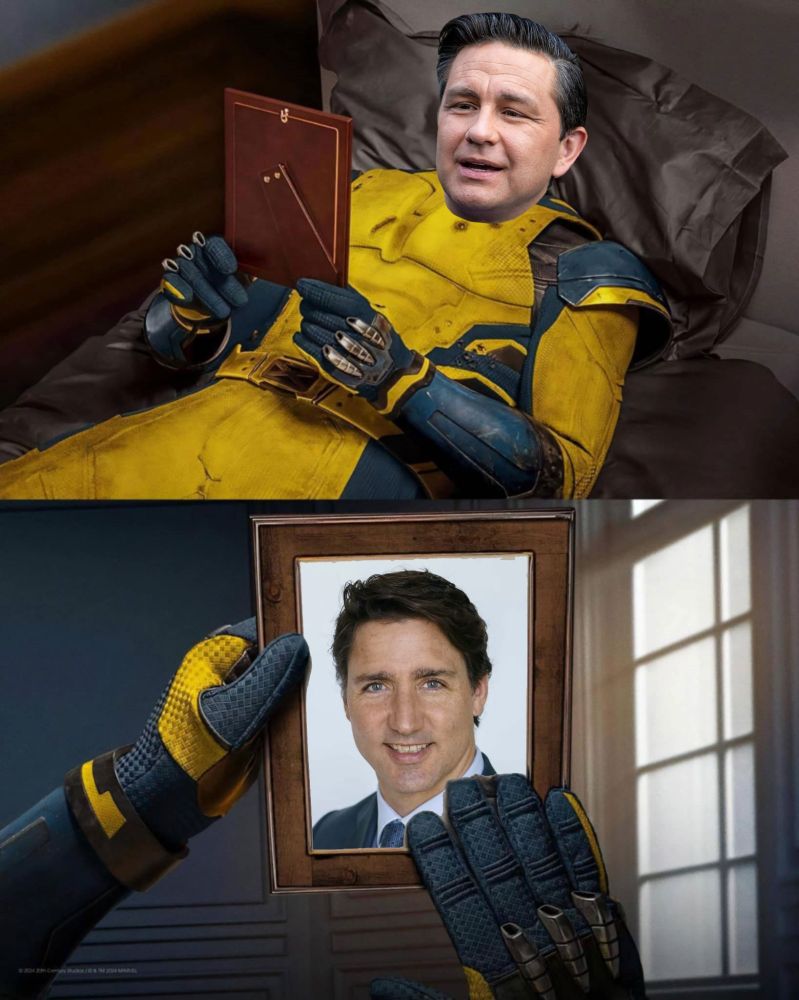 Comment image