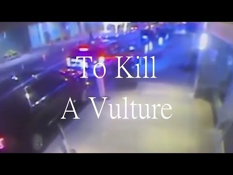 To Kill A Vulture