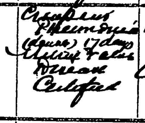 A snippet of a death certificate with the cause of death that needs to be deciphered.