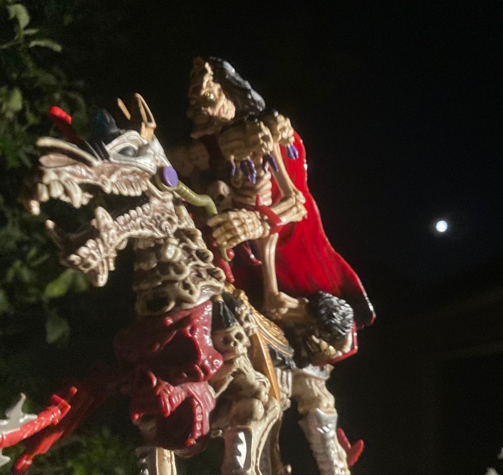 Riding a (very) park horse by moonlight