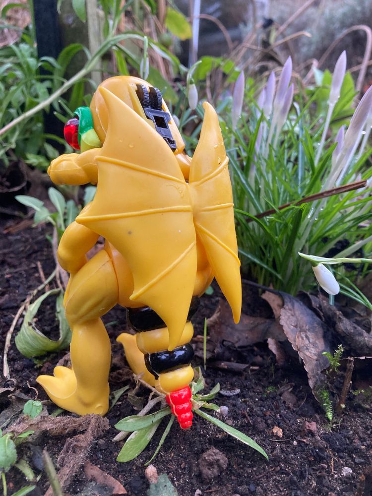The Gargo bay wings - not very insectoid but interesting 