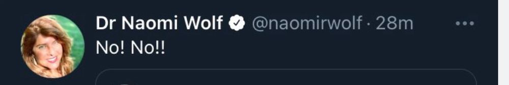 Naomi Wolf tweeting ‘No!  No!!’