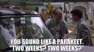 Meme from the Money Pit where Tom Hanks is standing in front of house in a shambles speaking to a contractor.  The contractor says, “You sound like a parakeet: ‘Two Weeks?  Two weeks?”