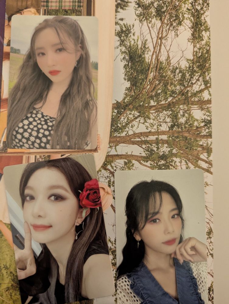 Sua Dami and jiu photocards