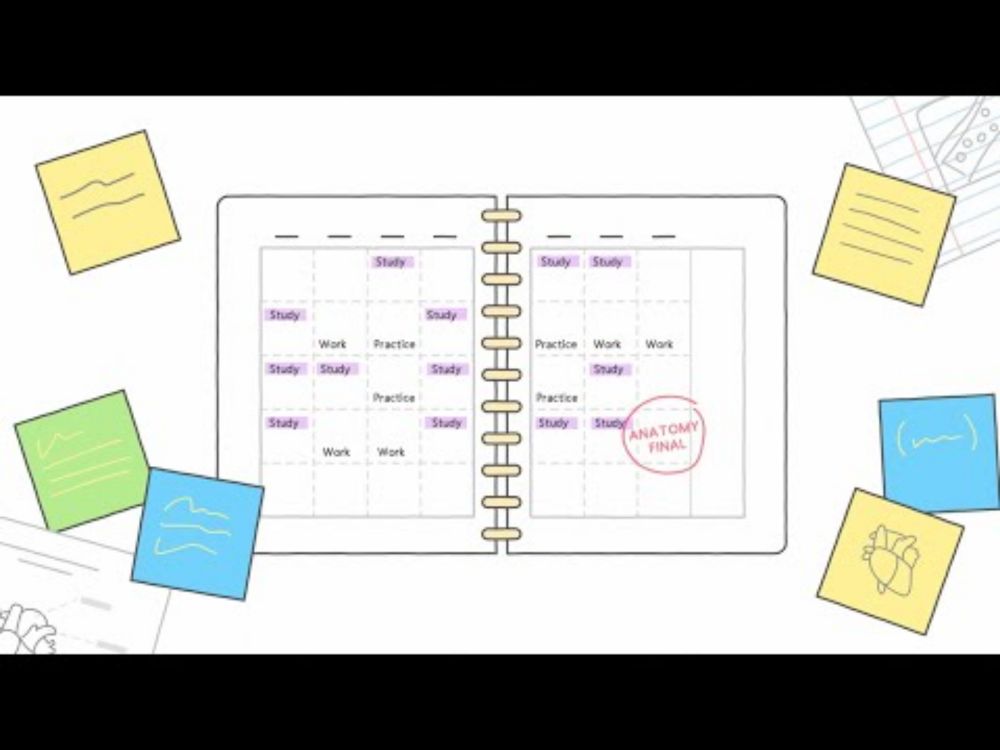 Study guide in Copilot Notebooks