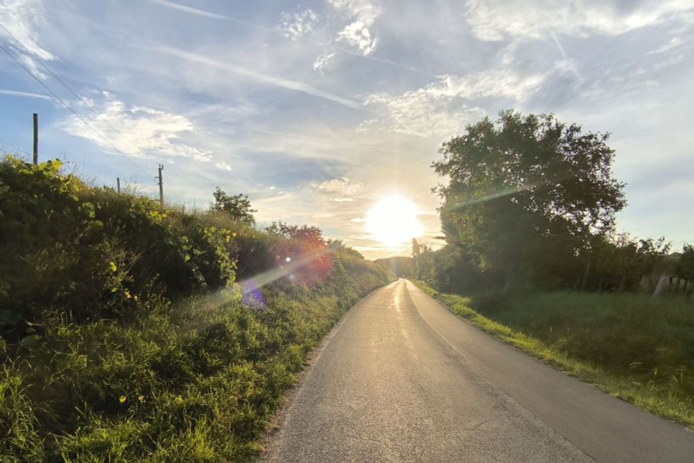 Der Rundweg in Hadersdorf (NÖ Wanderroute 44)