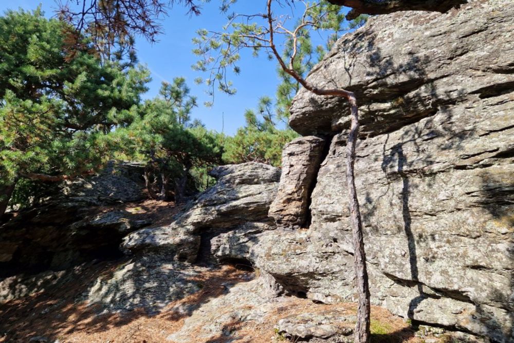 Kurze Wanderung von Senftenberg zu Tümelstein und Schatzwand