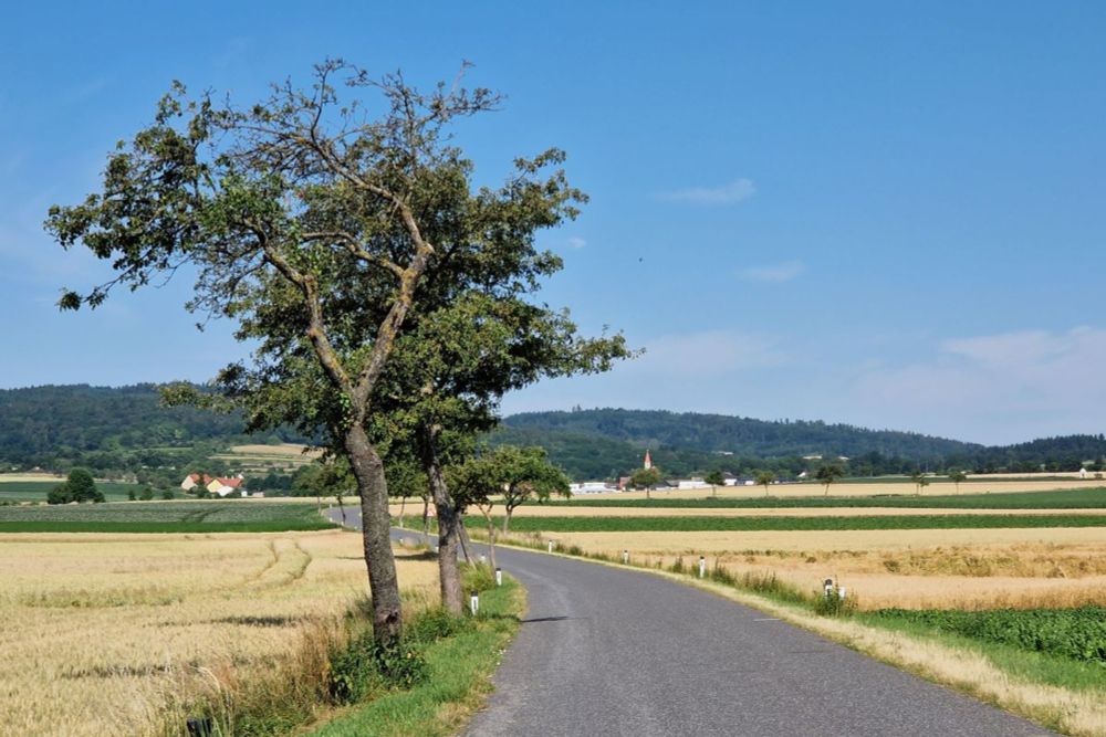 Der Venusweg in Eggendorf am Walde