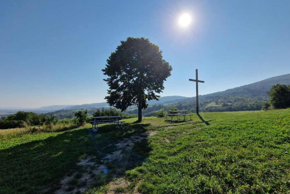 Der Weinwanderweg in Königstetten